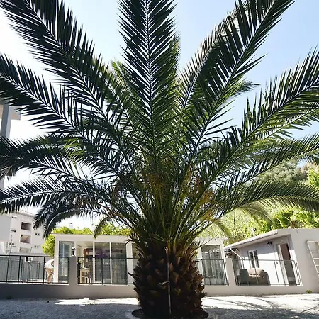 Πανσιόν Brother's Lisboa